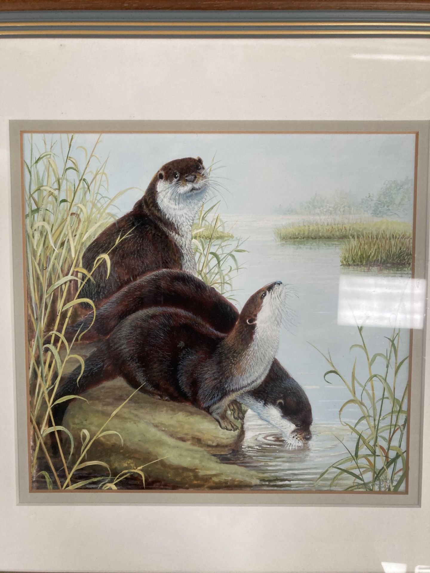Elizabeth Garnett-Orme small framed watercolour 'Otters' 20cm x 20cm signed and dated '2003