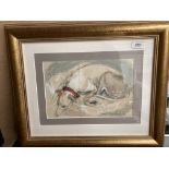 Shirley Fraser framed charcoal and pastel picture 'Tia Greyhound and Lurcher Rescue Carrie' 20cm x