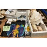Large conch shell and others,