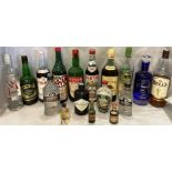 A collection of fourteen mainly part bottles of spirits and liqueurs (many at least half full)
