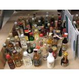 Contents to half of tray 60 assorted spirit and liqueur miniatures - mainly full - Jack Daniels,