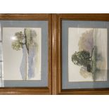 Two x Brian Kidd 95, Lake and Hill scene - watercolours in pine frames,