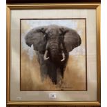 'David Shepherd' elephant print in a gilt frame 36 x 33cm