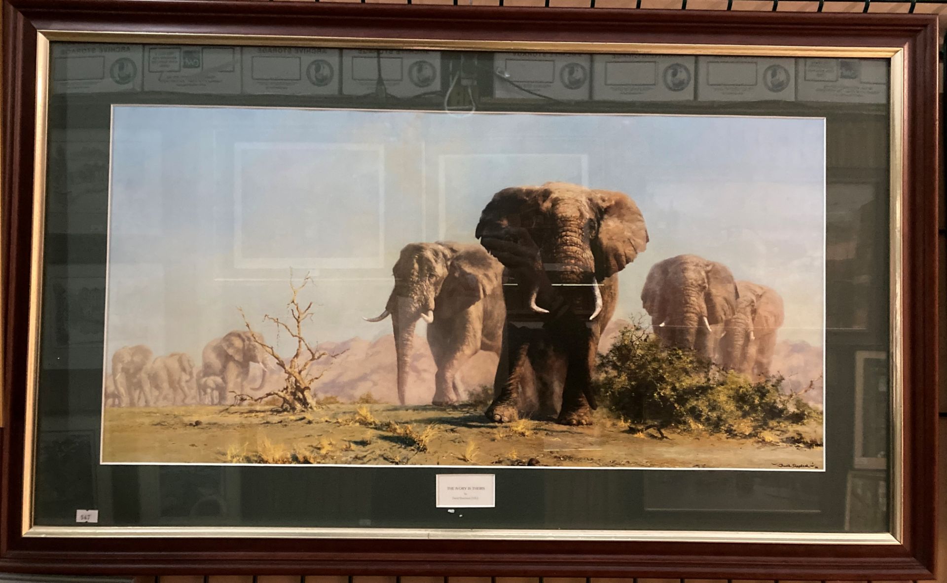 'David Shepherd OBE' - 'The Ivory is Theirs' framed art print 37 x 75cm
