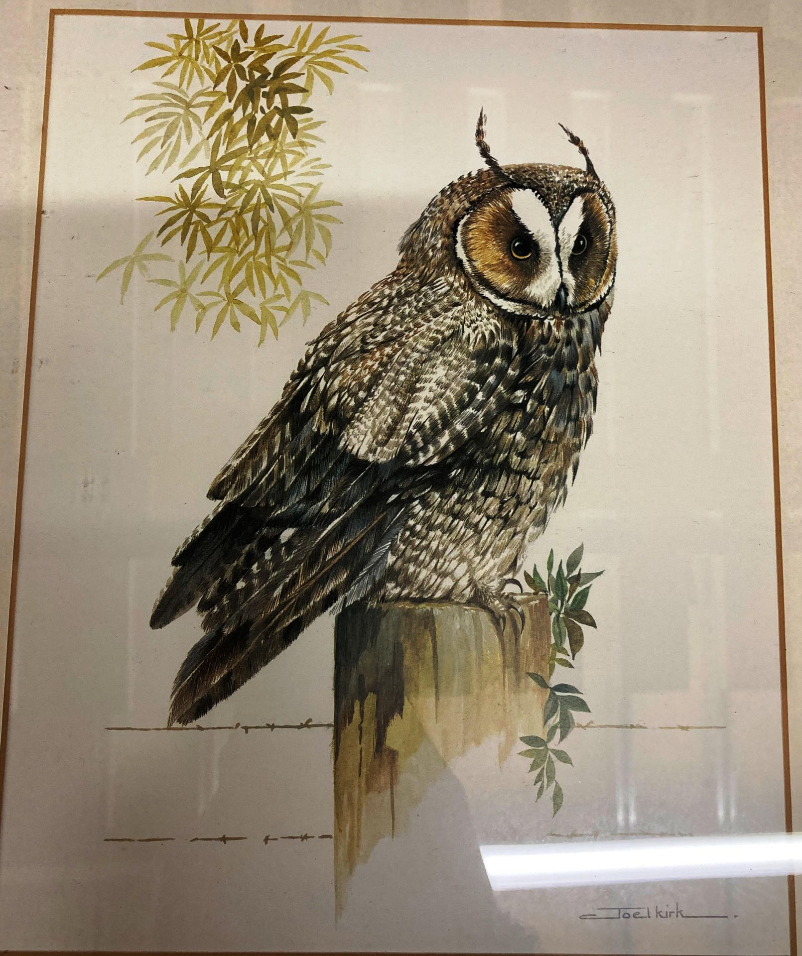 Five assorted owl framed prints by Joel Kirk and Vicki, - Image 2 of 4