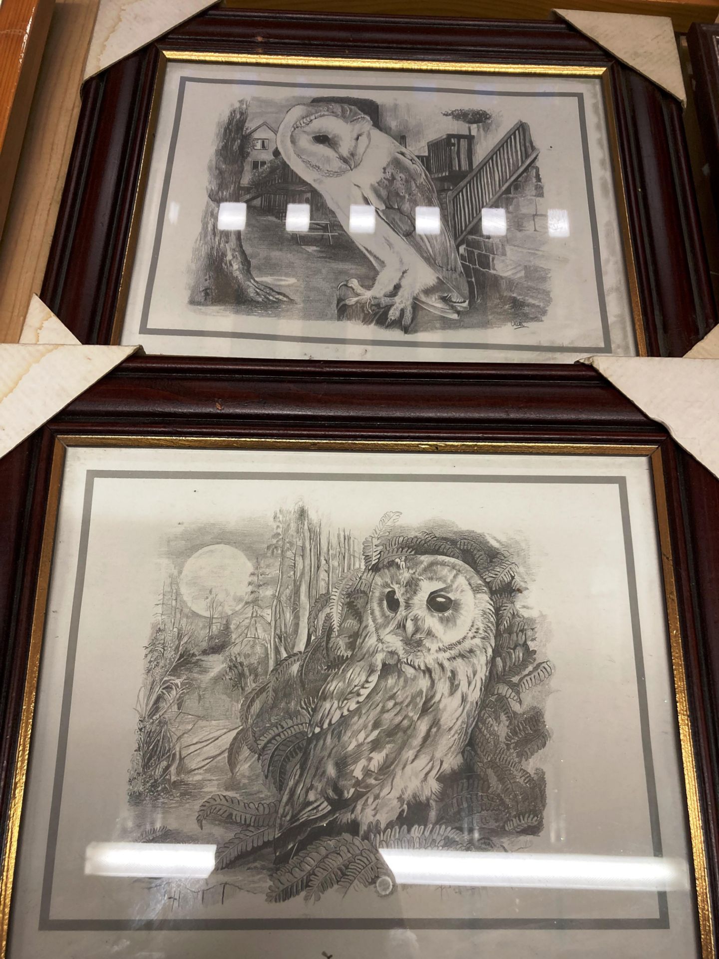 Five assorted owl framed prints by Joel Kirk and Vicki, - Image 4 of 4