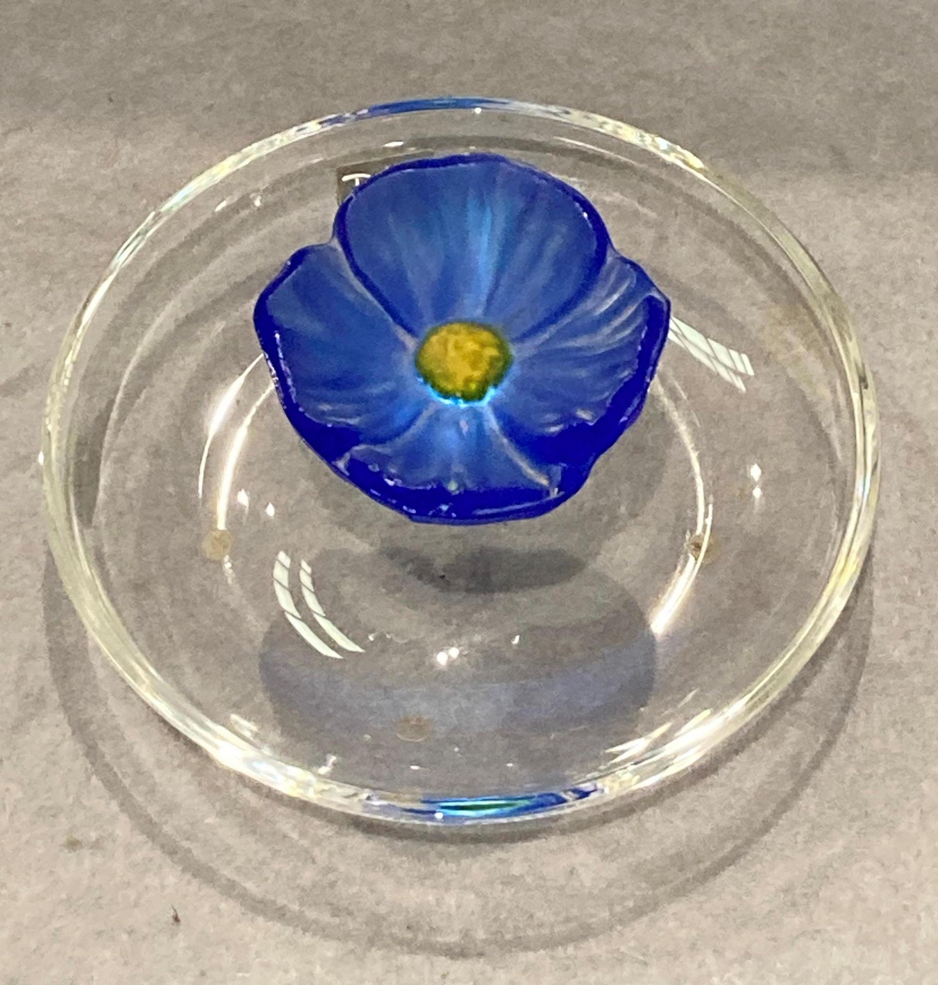 A Daum France Coupelle Cactus Fleur Bleu Franc modern pate de verre glass dish, - Image 4 of 5