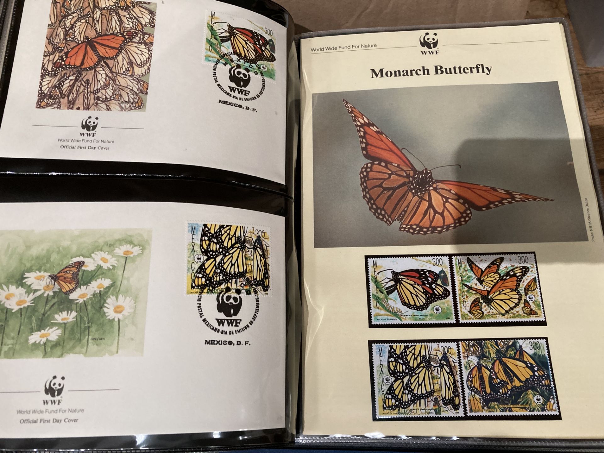 Seven albums of World Wide Fund for Nature first day cover stamps - Image 5 of 6