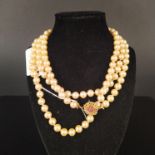 A simulated pearl rope necklace with 18ct gold style clasp set with small rubies,