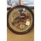An unusual Victorian woolwork parrot in circular rosewood glazed frame,