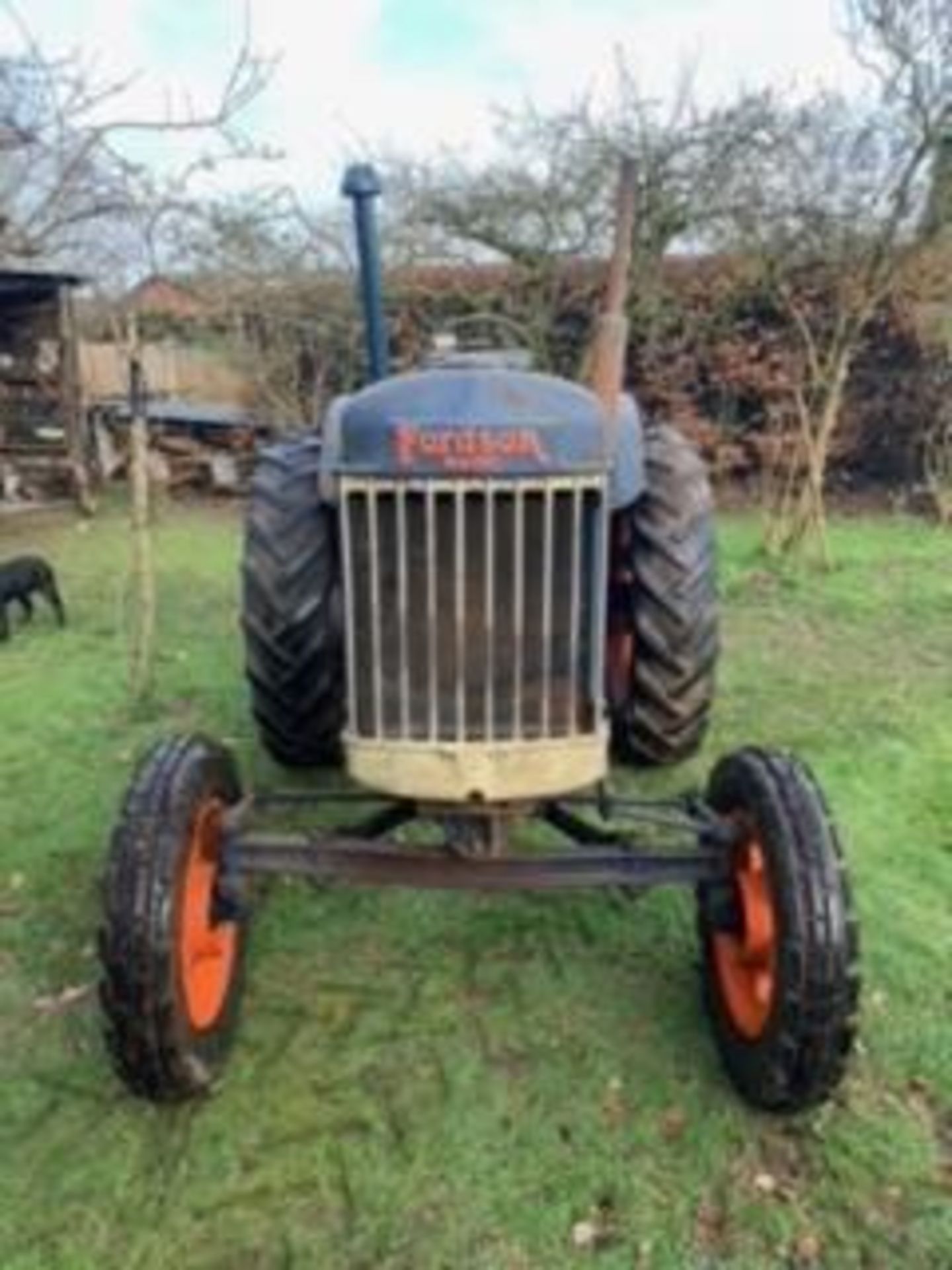 1946 E27n Fordson Major L4, Perkins engine, Running order, Solid tractor, - Image 3 of 17