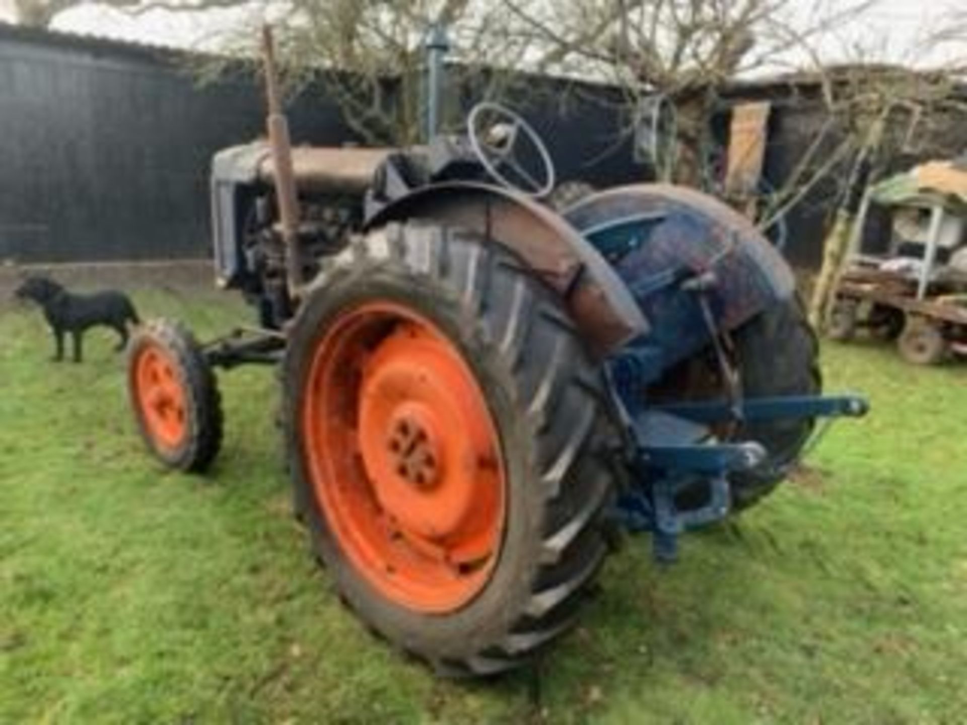 1946 E27n Fordson Major L4, Perkins engine, Running order, Solid tractor, - Image 4 of 17