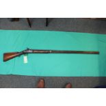 An approx 7 bore percussion shotgun with 46" barrels,