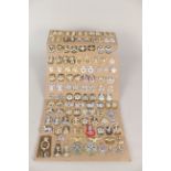 A full card display of 'Staybright' collar badges (the large majority in pairs)