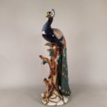 A large Italian porcelain model of a peacock on a branch, height 32 1/2", length 10",