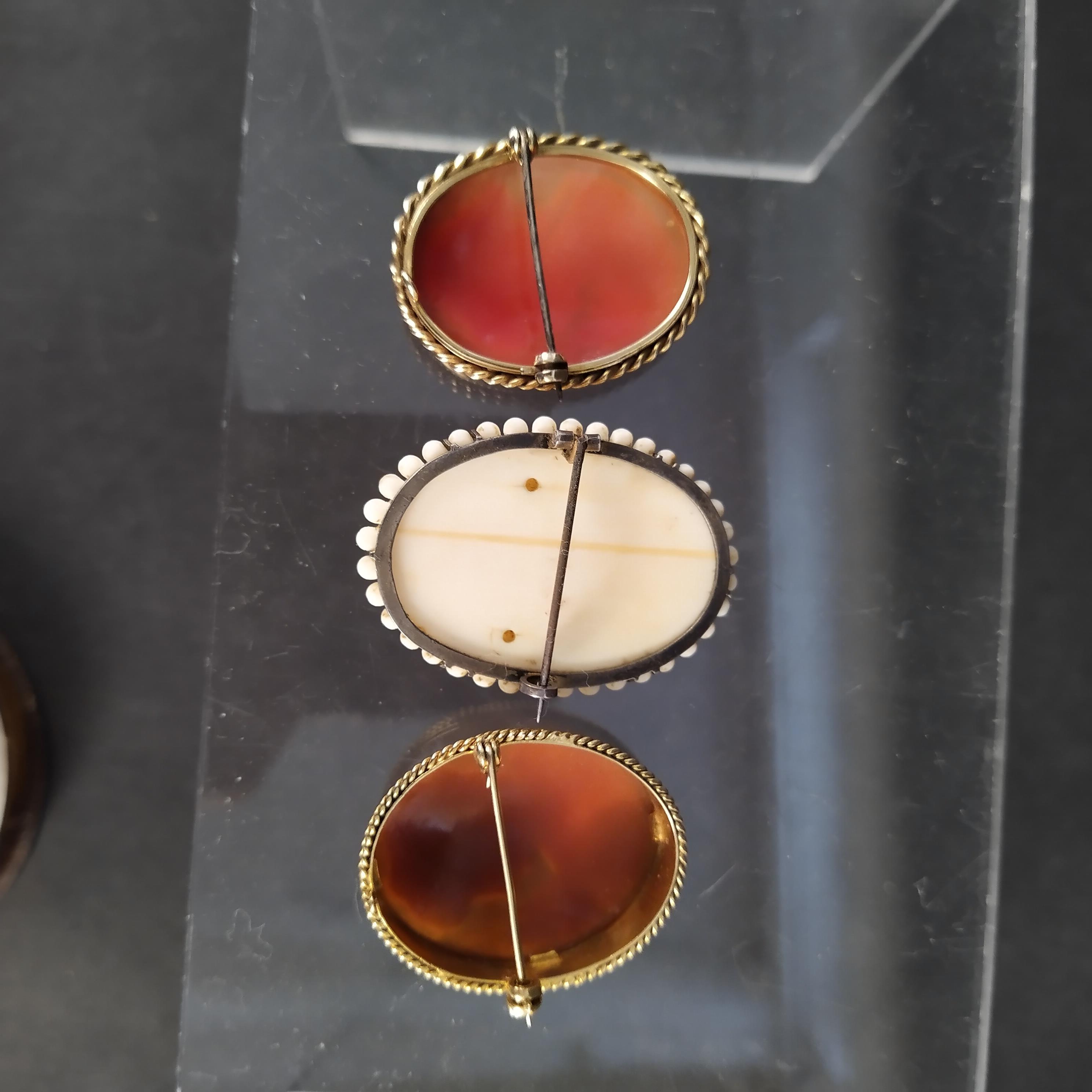 Three cameo brooches, - Image 3 of 3