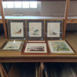 A set of four framed bird prints by Mads Stage,