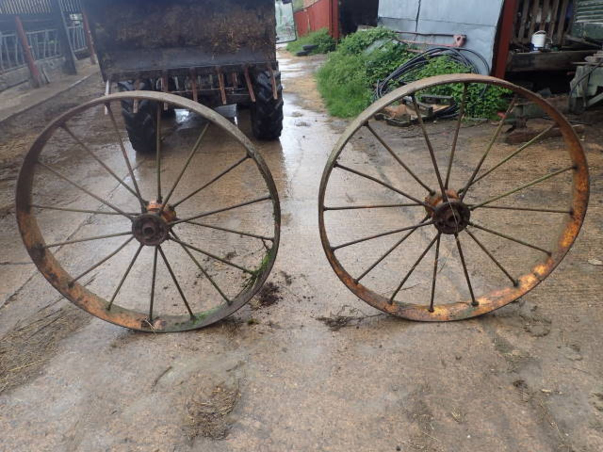 2 EX Sunshine Drill steel wheels 50inches across 6 inches wide. Stored near Harleston, Norfolk.