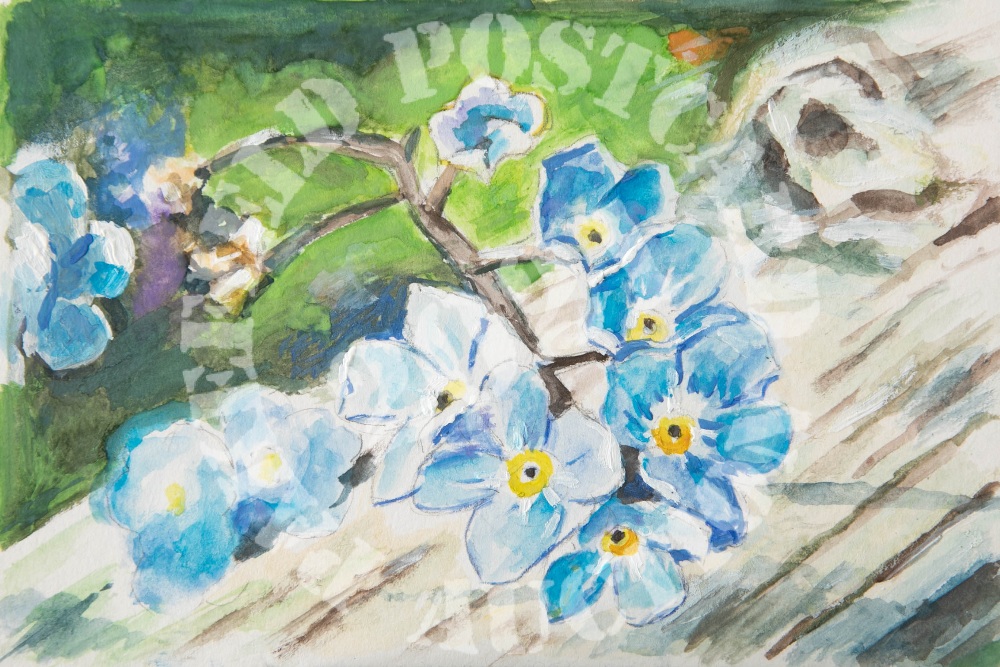 Forget Me Nots - Watercolour & acrylic.