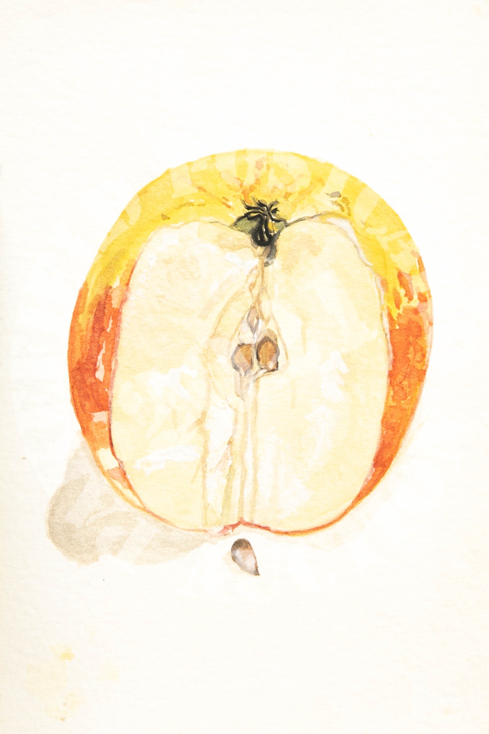 Appleseed - watercolour.