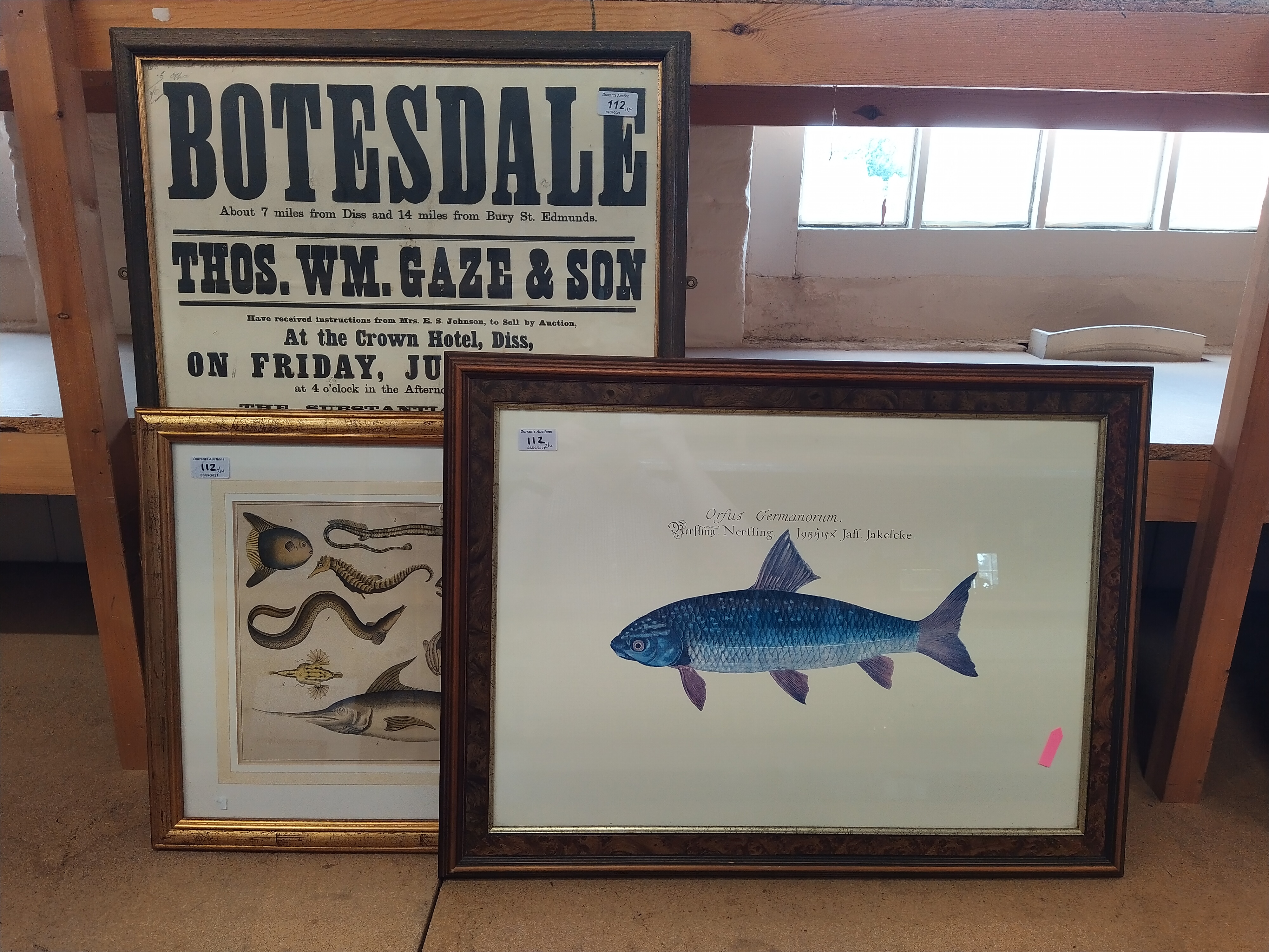 A large framed 1938 Property Auction poster for 'Hamblyn House' Botesdale plus three framed fish