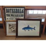 A large framed 1938 Property Auction poster for 'Hamblyn House' Botesdale plus three framed fish