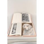 Three illustrated volumes of 'Hutchinson's Dog Encyclopedia'
