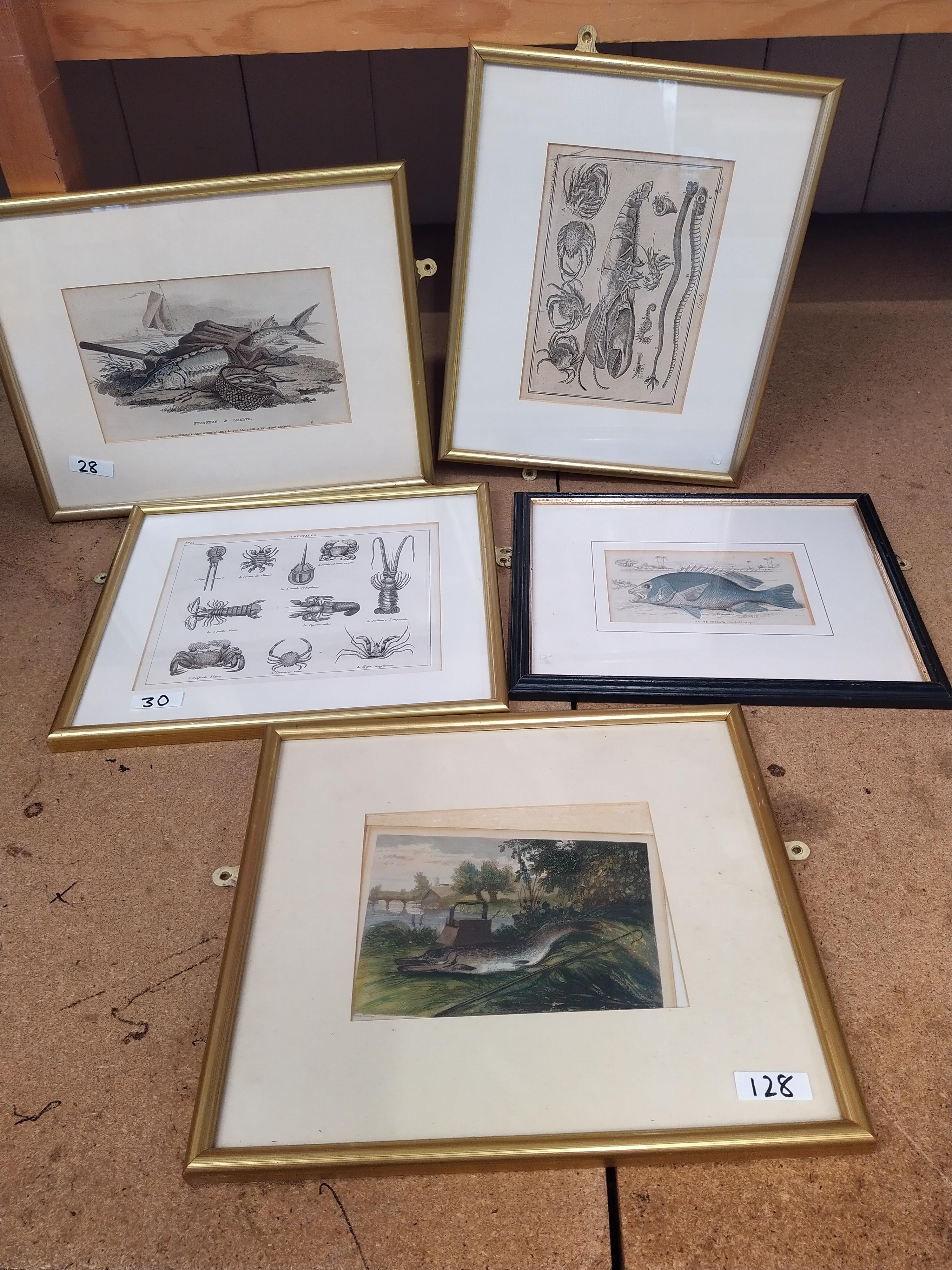 A box of framed prints, - Image 2 of 3