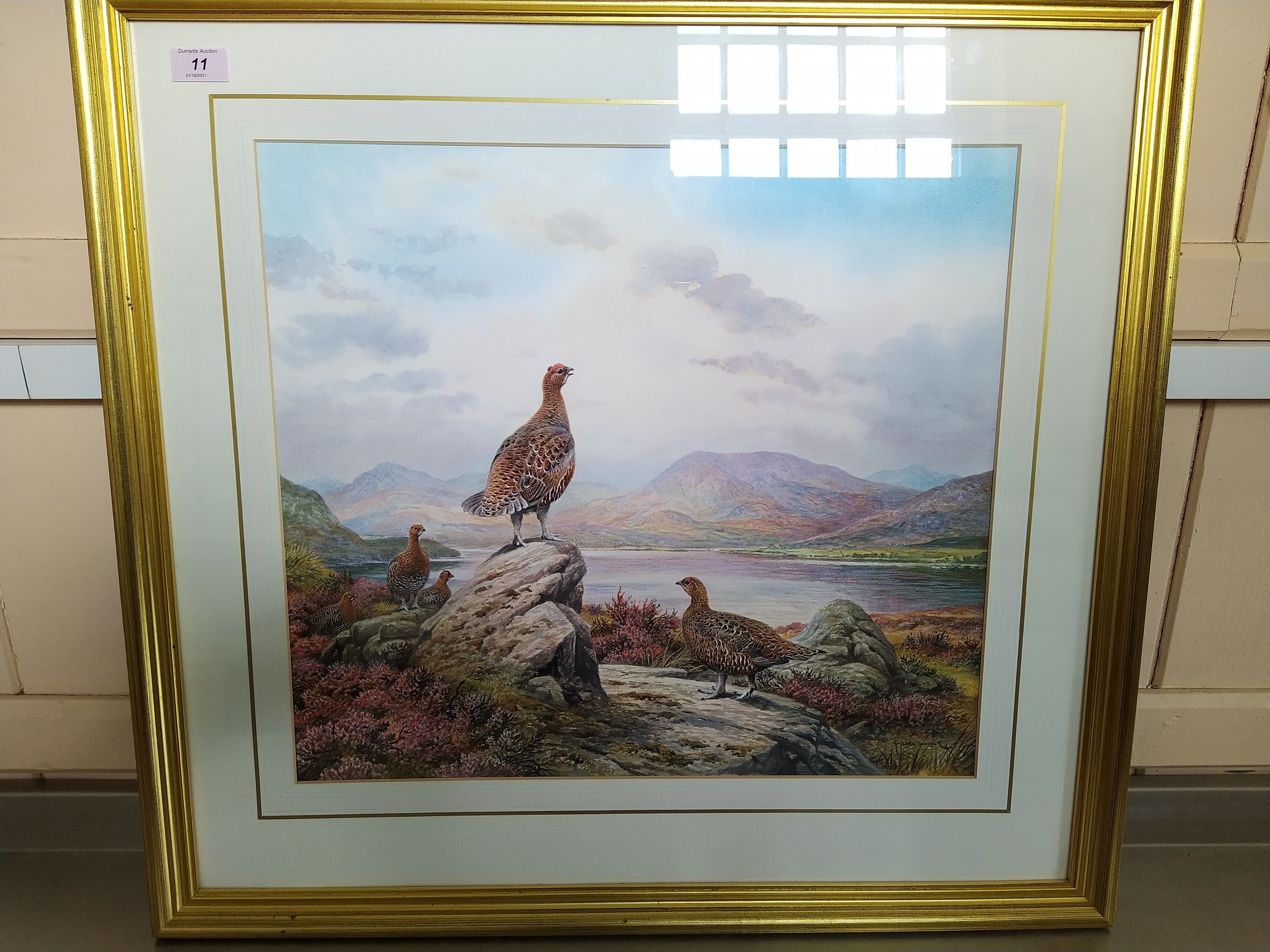 Carl Donner (1957-) watercolour grouse in a mountainous landscape, signed bottom right,