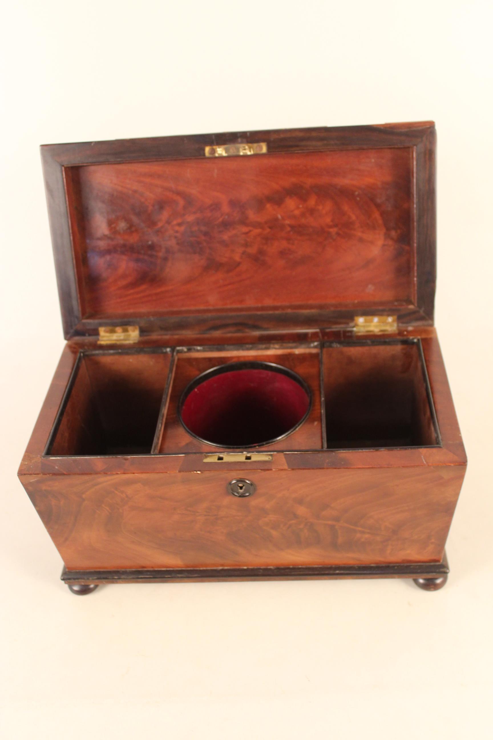 William IV mahogany sarcophagus shaped tea caddy