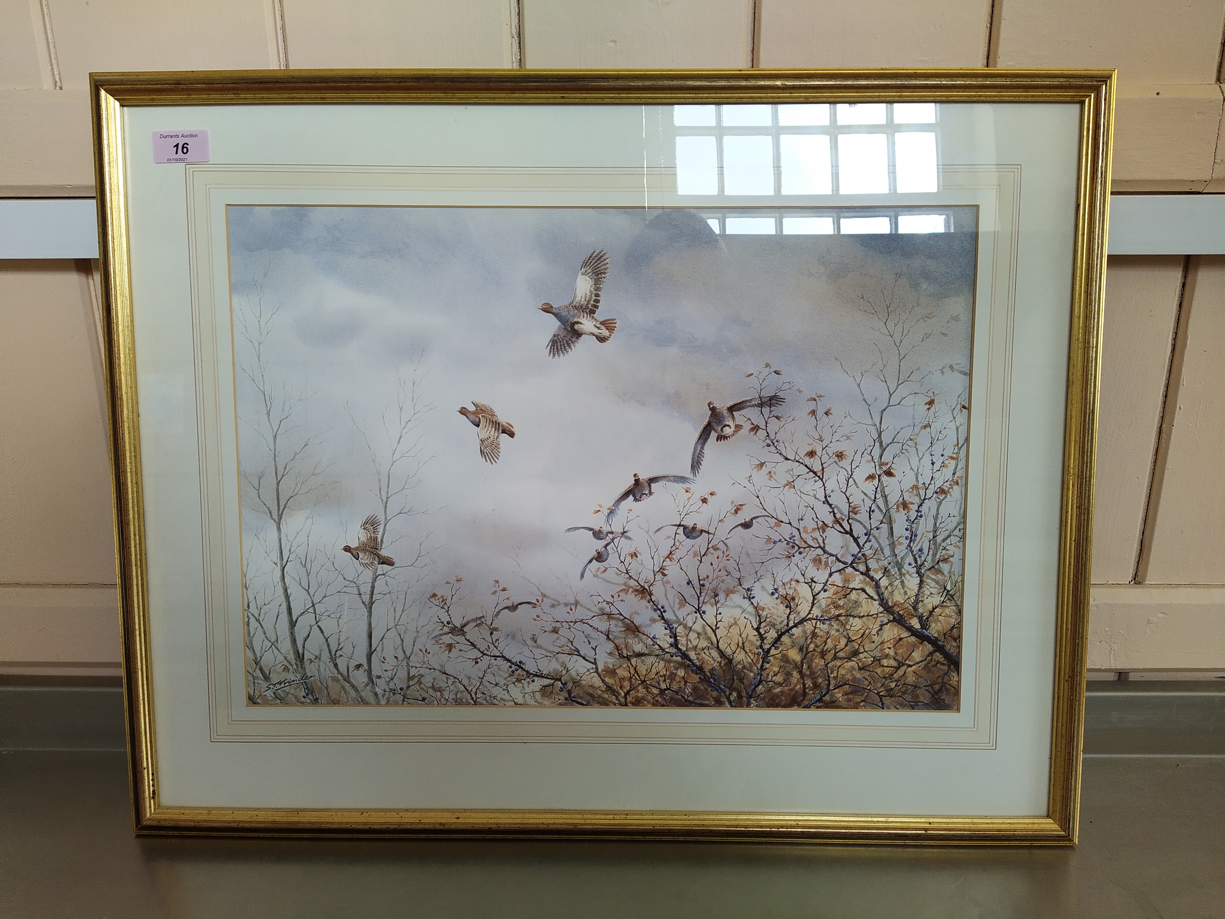 Simon T Trinder watercolour of a grey partridges in flight,