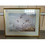 Simon T Trinder watercolour of a grey partridges in flight,