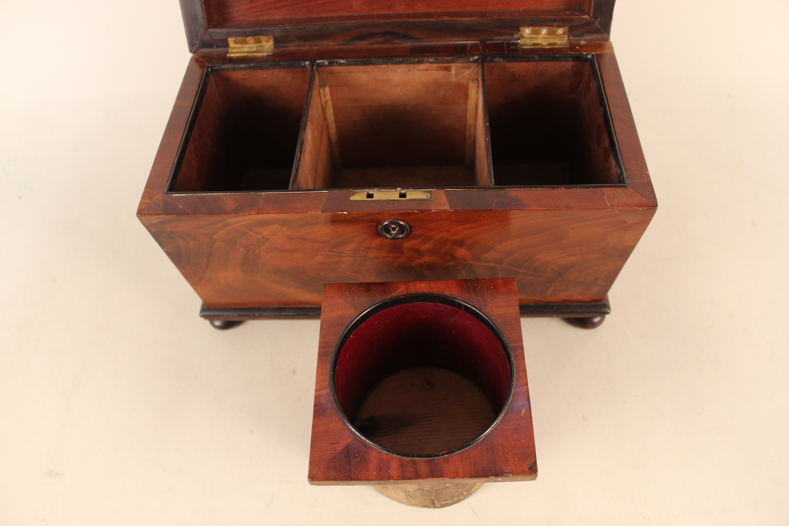 William IV mahogany sarcophagus shaped tea caddy - Bild 2 aus 3