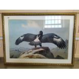 John Cyril Harrison (1898-1985) watercolour of an eagle with outstretched wings on rocky tor,