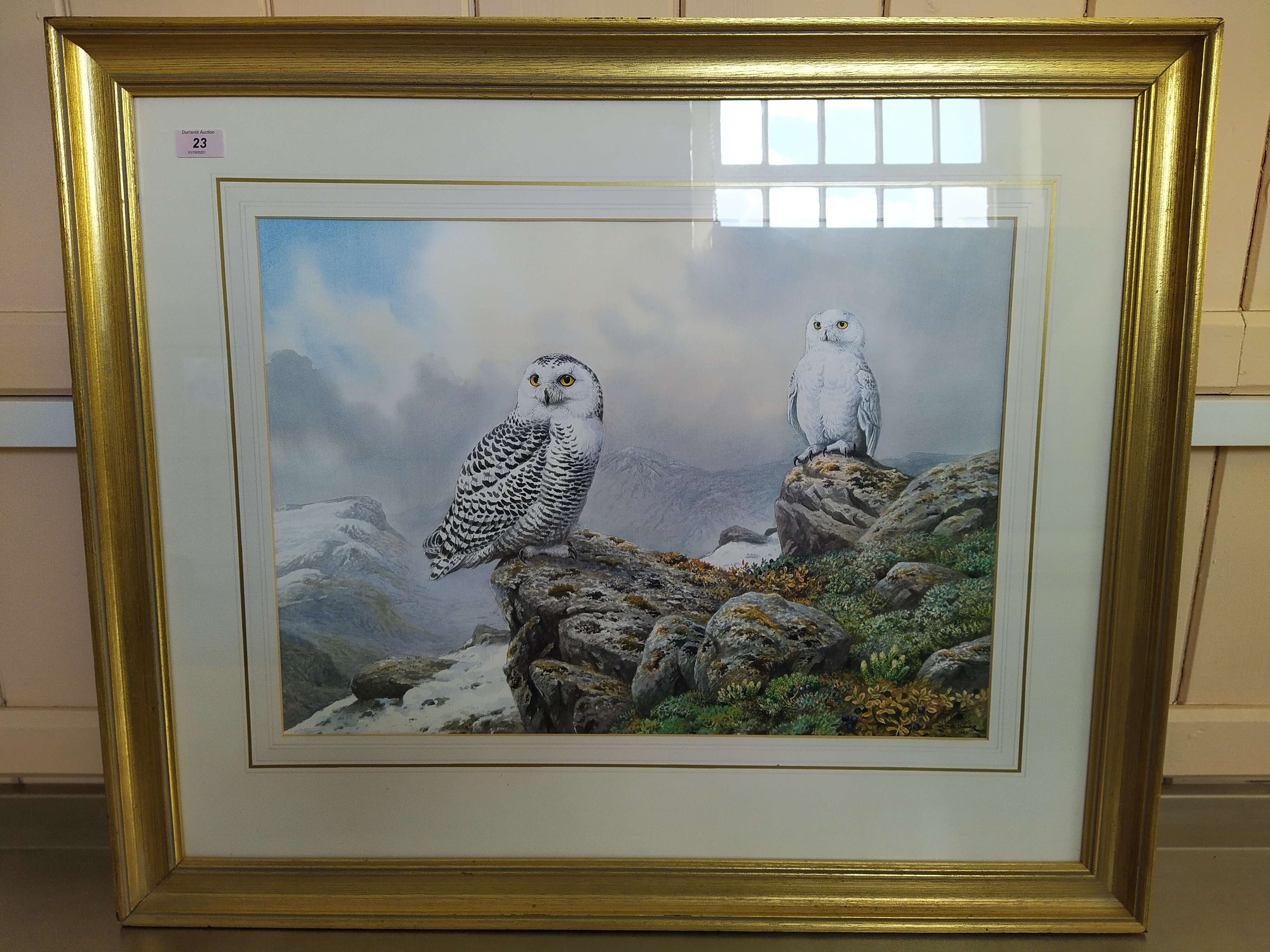 Carlo Donner (1957-) watercolour of a pair of snowy owls in mountainous landscape,