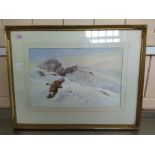 Neil Cox (1955-) watercolour of ptarmigans pursued by a hawk in a snowy mountain landscape,