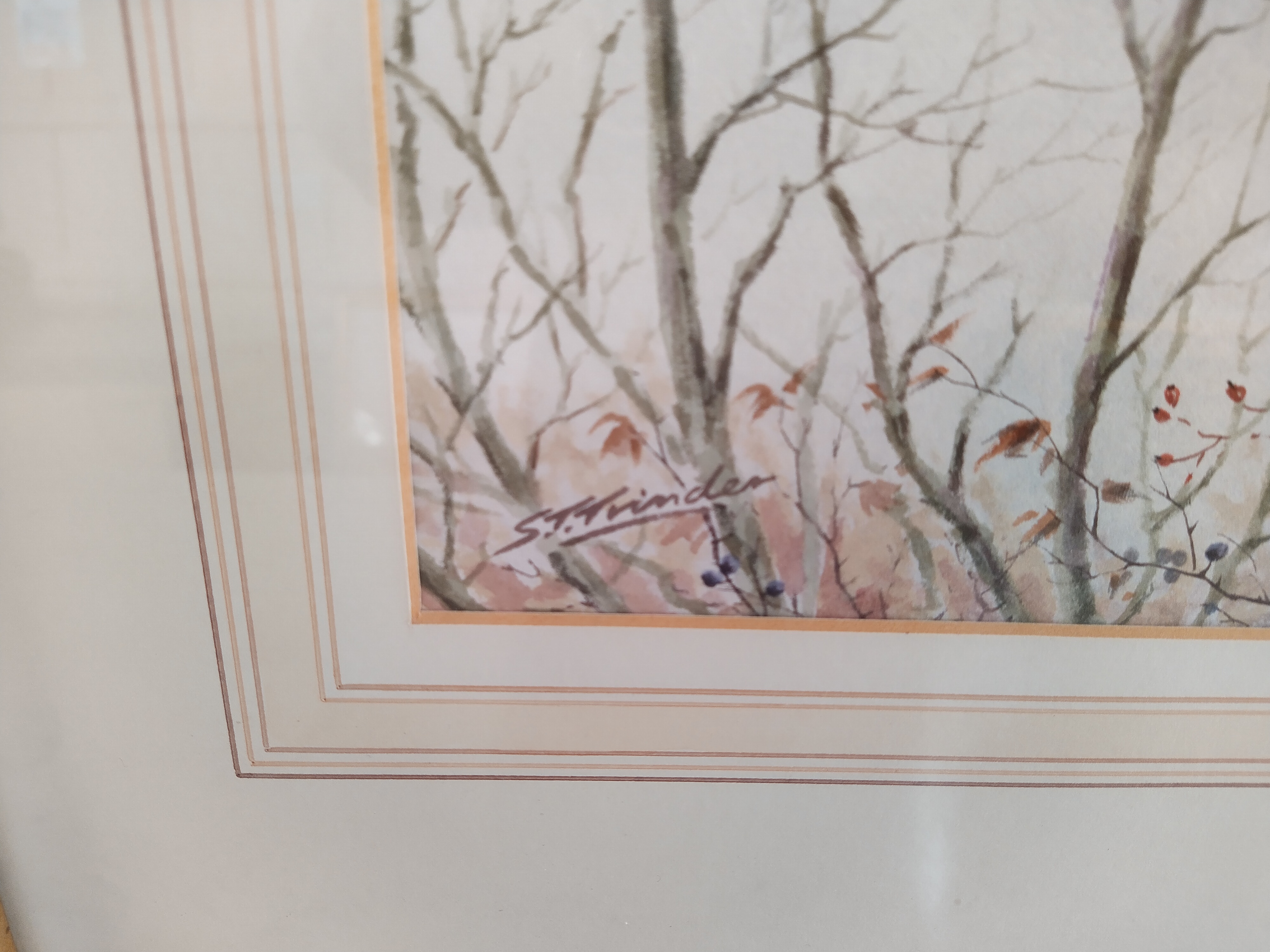 Simon T Trinder watercolour of a grey partridges in flight, - Image 2 of 3