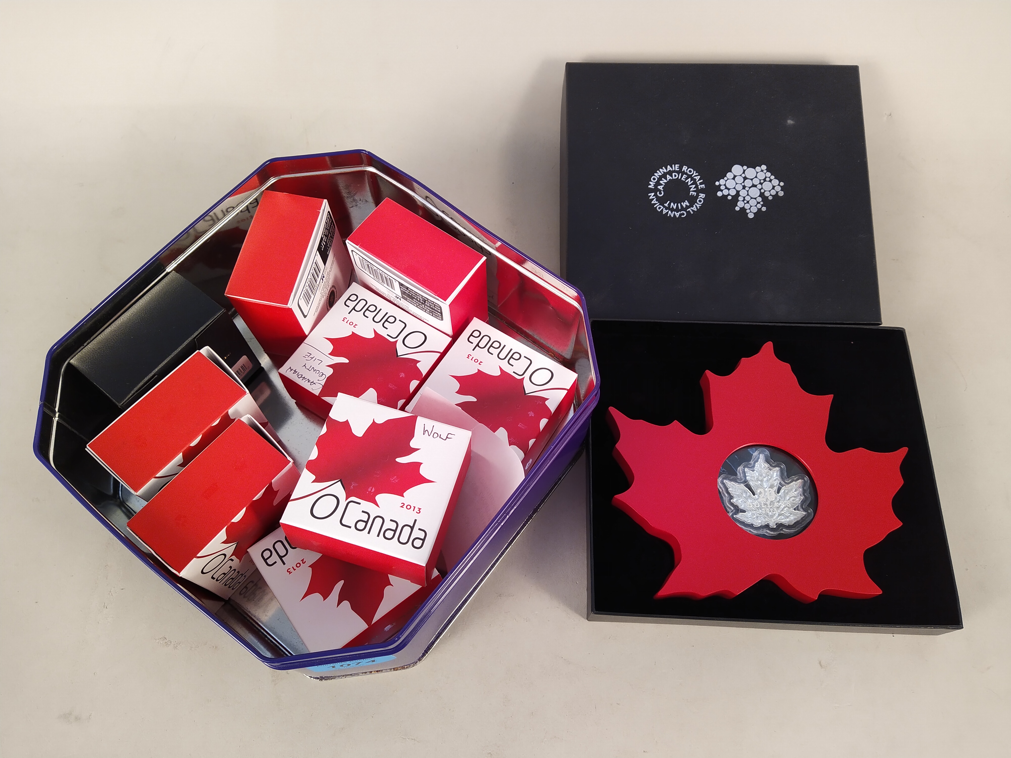 Nine Royal Canadian mint 2013 ten dollar silver coins plus a Canadian mint boxed 20 dollar 2015