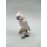An early 19th Century Royal Dux, pink pad mark cockatoo,