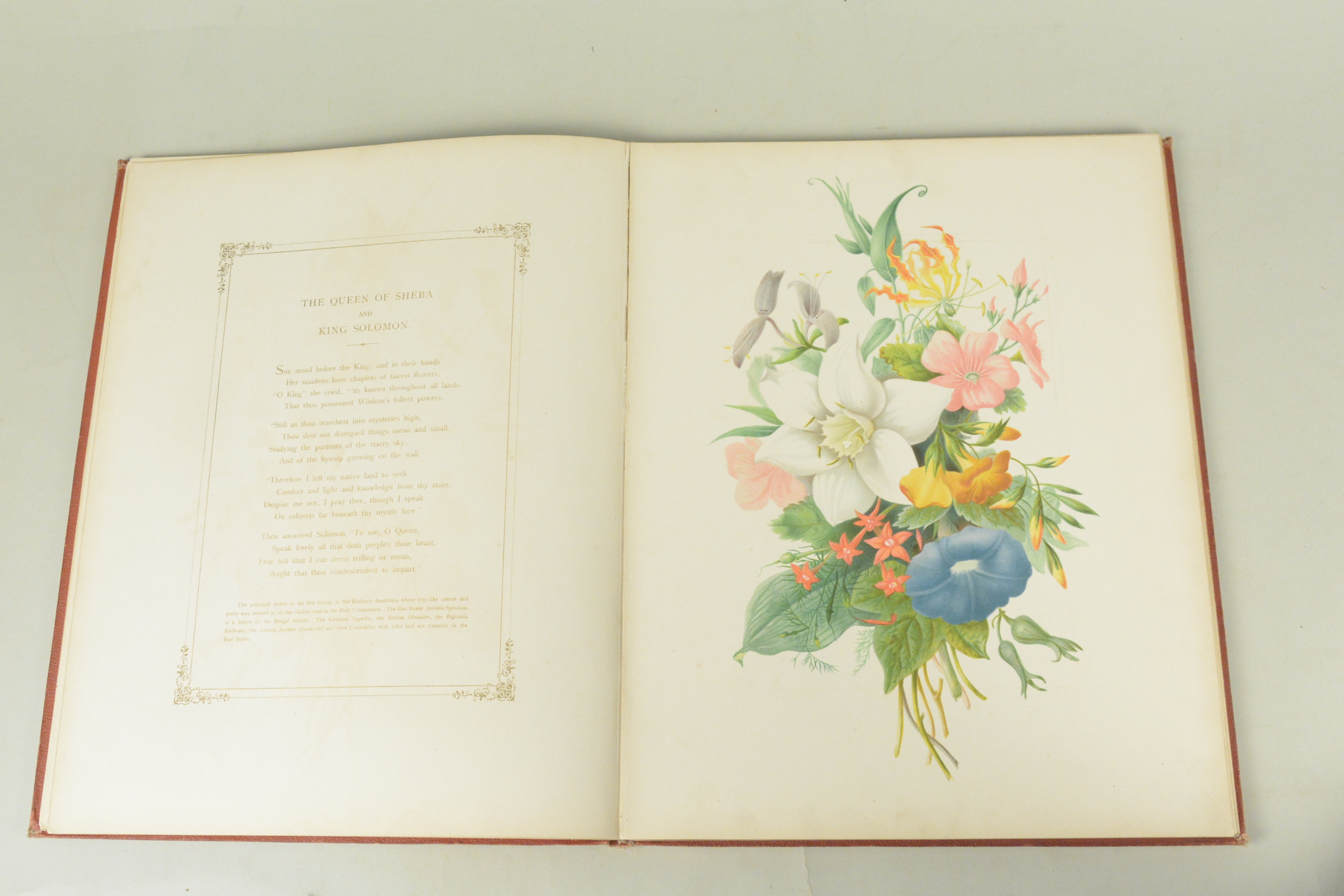 19th C bound volume of 'Flowers from an Indian Garden' with coloured named plates L Baumann & Co - Image 4 of 16