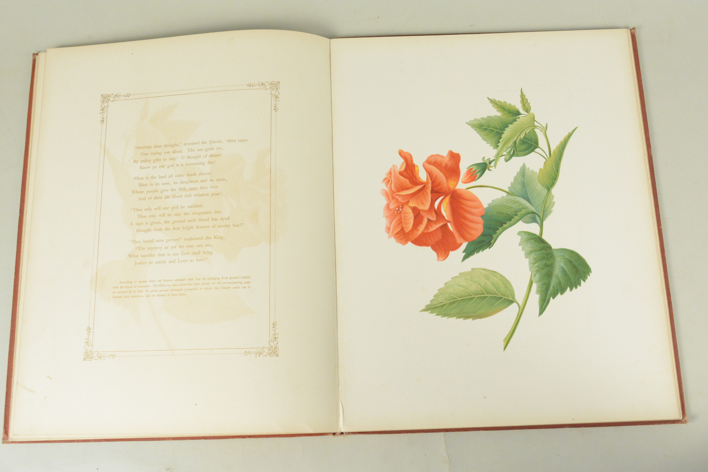 19th C bound volume of 'Flowers from an Indian Garden' with coloured named plates L Baumann & Co - Image 16 of 16