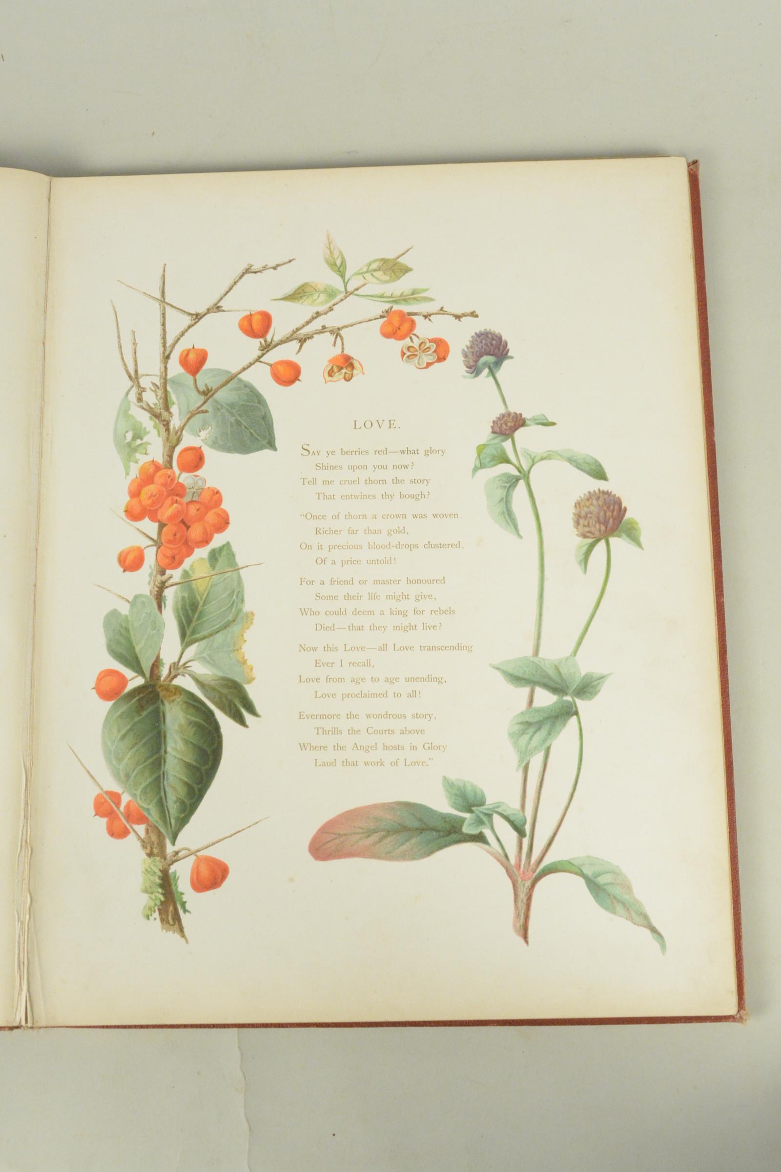 19th C bound volume of 'Flowers from an Indian Garden' with coloured named plates L Baumann & Co - Image 5 of 16