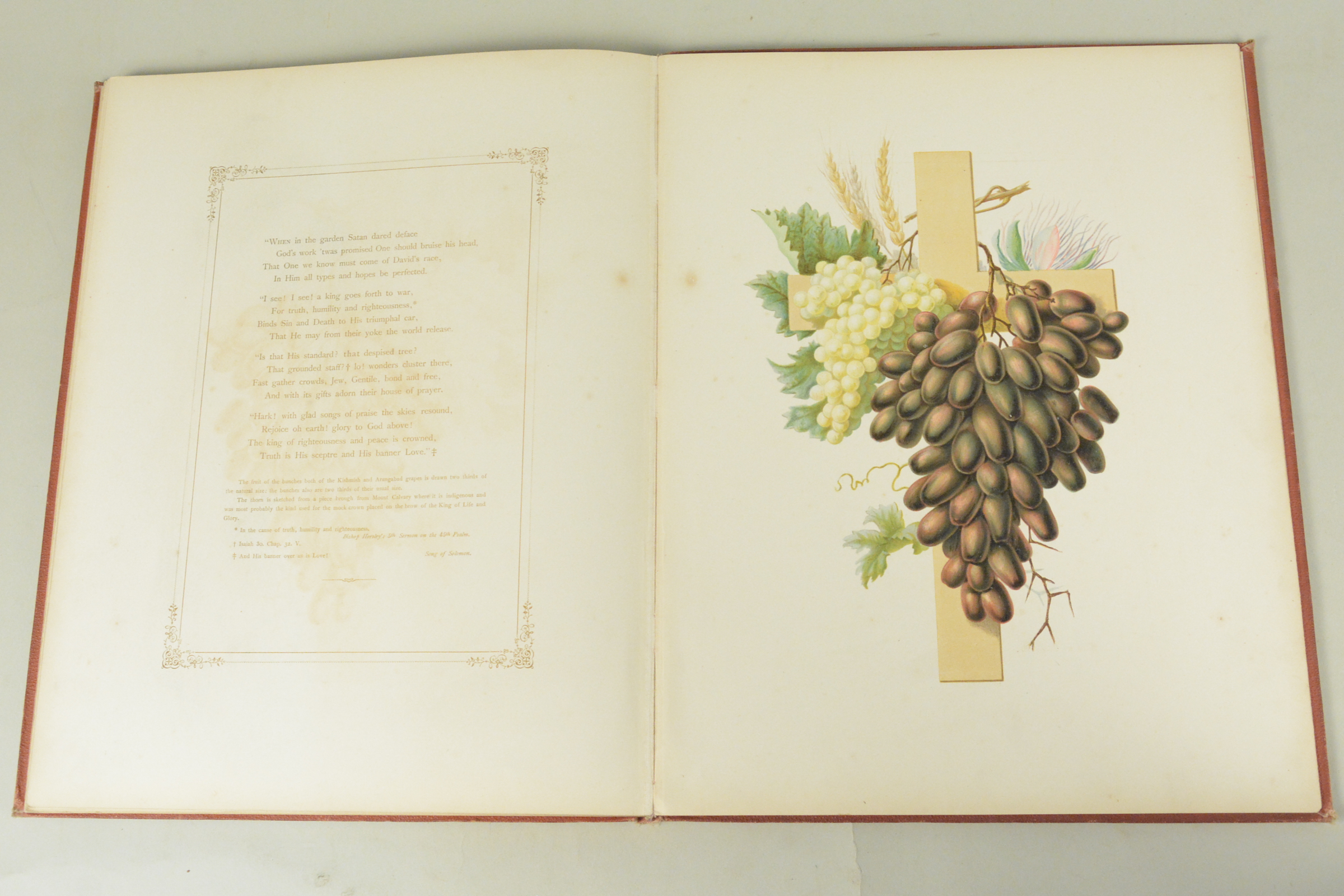 19th C bound volume of 'Flowers from an Indian Garden' with coloured named plates L Baumann & Co - Image 12 of 16
