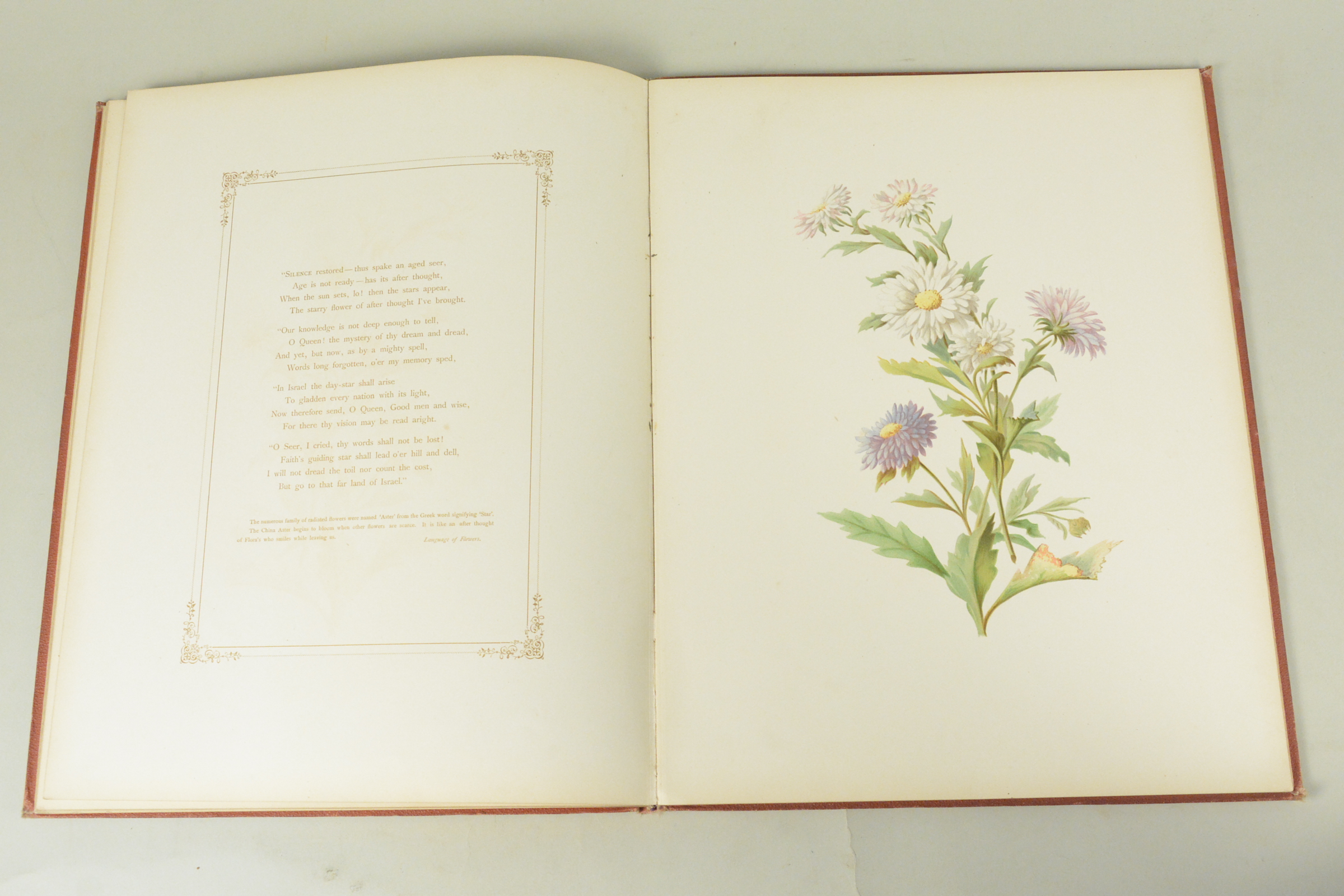 19th C bound volume of 'Flowers from an Indian Garden' with coloured named plates L Baumann & Co - Image 14 of 16