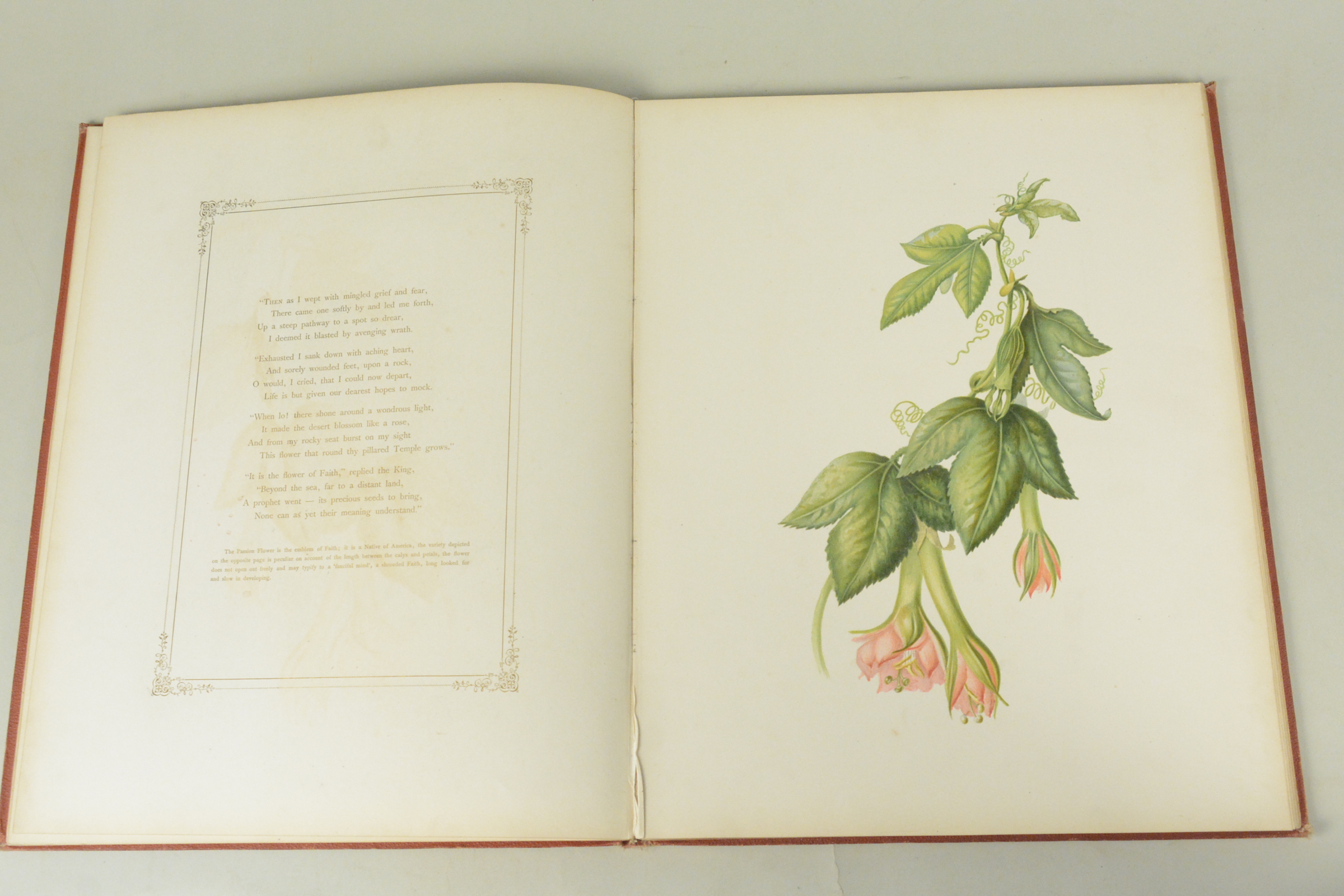 19th C bound volume of 'Flowers from an Indian Garden' with coloured named plates L Baumann & Co - Image 2 of 16