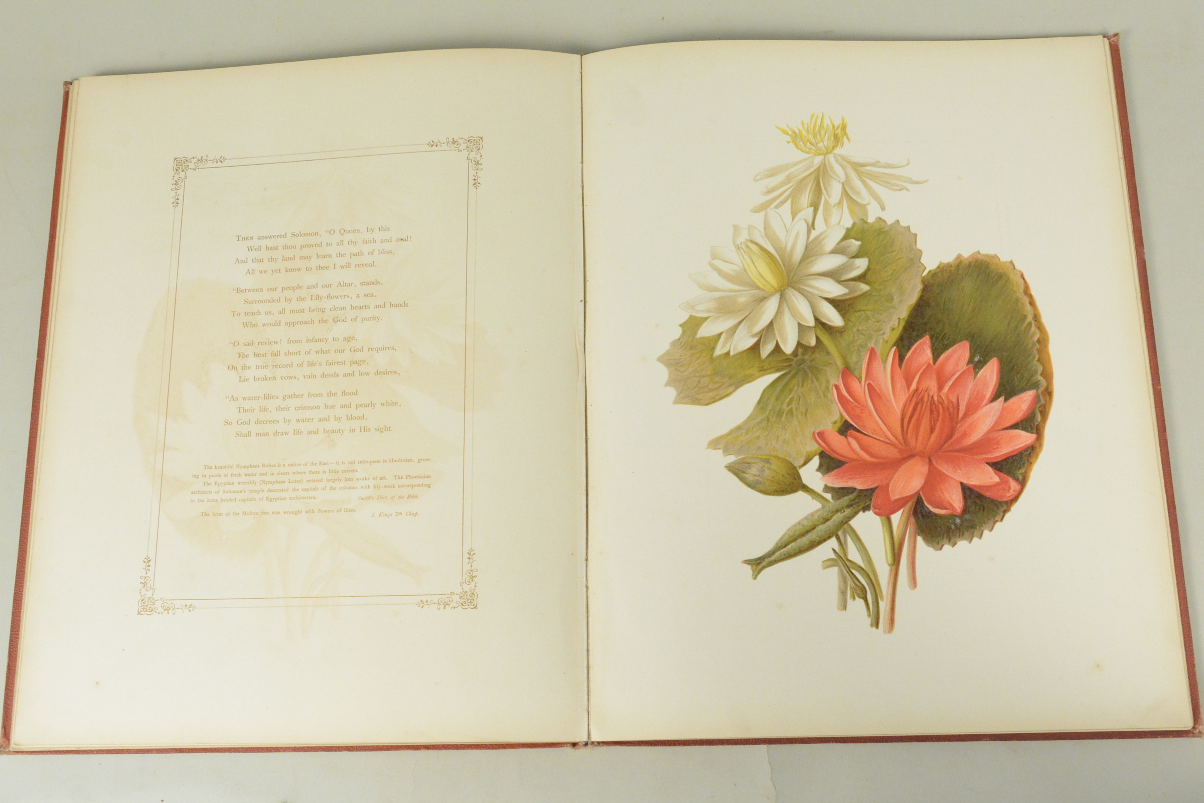 19th C bound volume of 'Flowers from an Indian Garden' with coloured named plates L Baumann & Co - Image 13 of 16