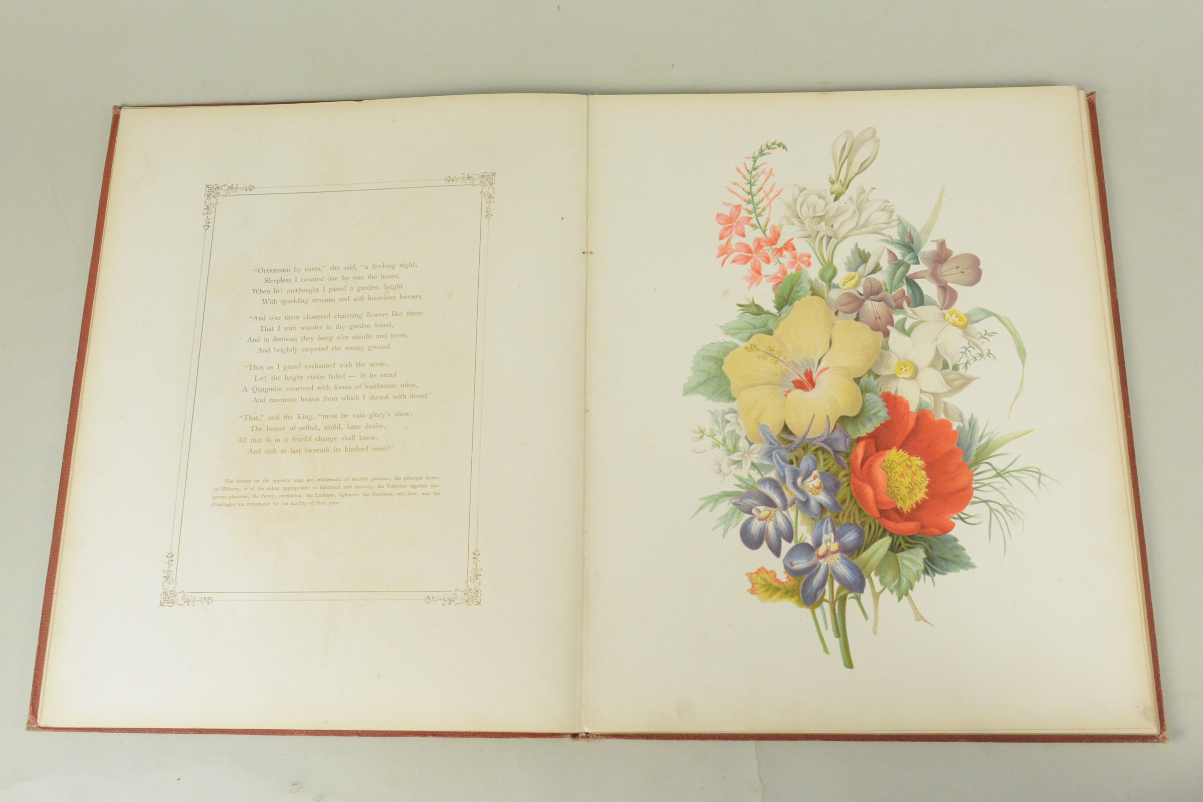 19th C bound volume of 'Flowers from an Indian Garden' with coloured named plates L Baumann & Co - Image 3 of 16