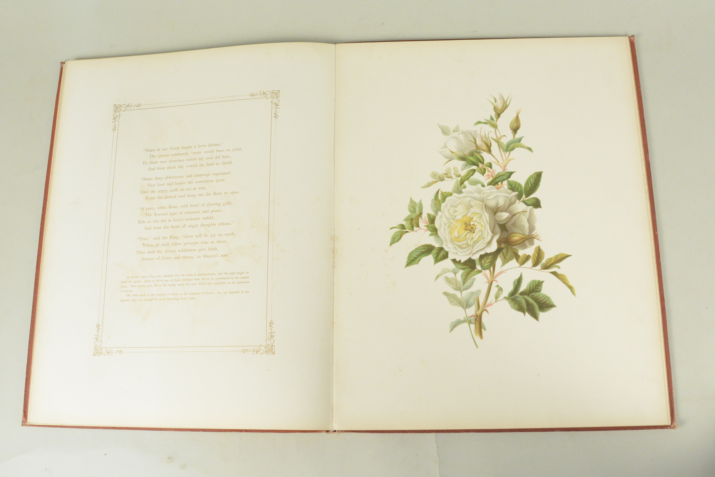 19th C bound volume of 'Flowers from an Indian Garden' with coloured named plates L Baumann & Co - Image 15 of 16