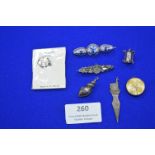 Sterling Silver Brooches and Charms