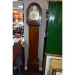 1930's Veneered Westminster Chimes Granddaughter Clock with Brass Face and Tempus Fugit